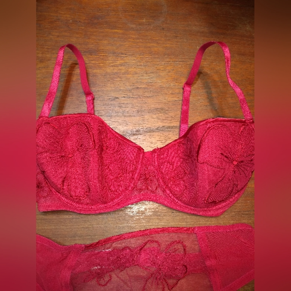 La Senza 2-Piece Red Bra (34B) & Red Lace Garter (Size Medium) - Picture 2 of 15